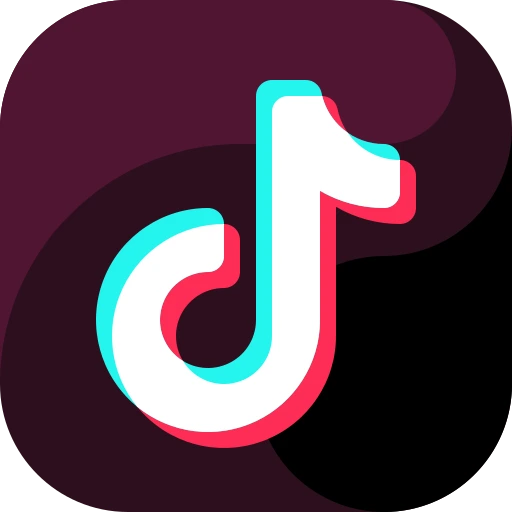 ssstt TikTok Downloader